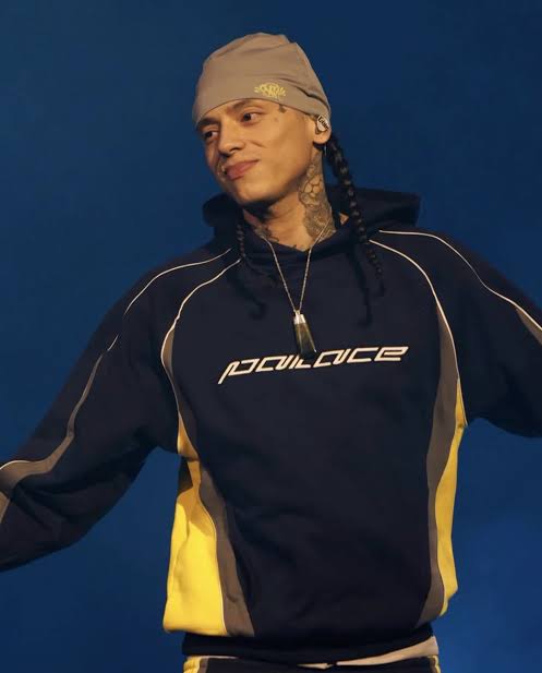 Palace Far Out Hood SS25 L